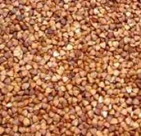 Гречневая диета реальные результаты