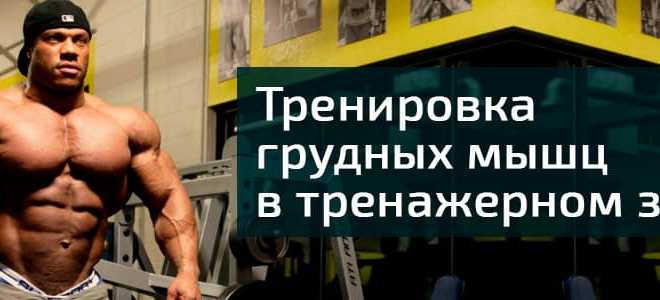 Тренажер для мышц груди