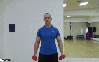 Упражнения на руки в зале с гантелями