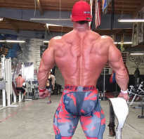 Фитнес упражнения для спины