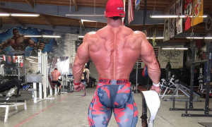 Базовые упражнения на спину в тренажерном зале