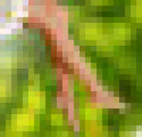 Физические упражнения для похудения живота бедер