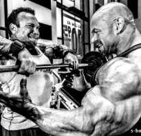 Программа базовые упражнения в тренажерном зале