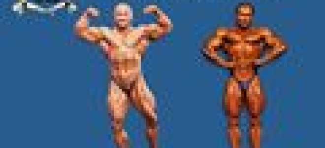 Сколько поз в бодибилдинге