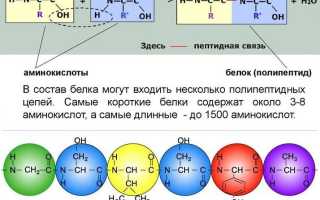 Аптечные аминокислоты для бодибилдинга