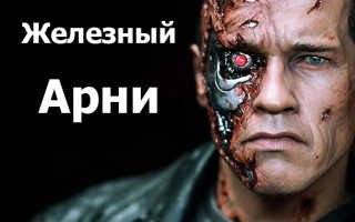 Бодибилдинг каждый день