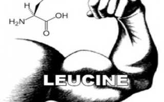 Лейцин в бодибилдинге