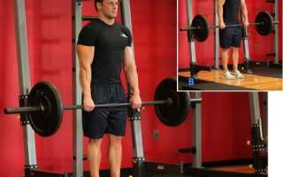 Бодибилдинг спина плечи