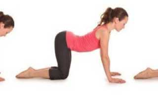 Йога для гибкости спины