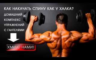 Упражнения для развития мышц спины с гантелями