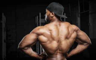 Упражнения для толщины спины