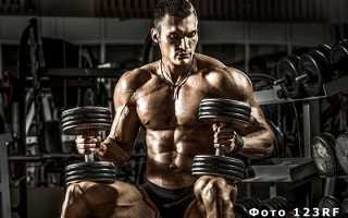 Что означает бодибилдинг