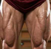 Упражнения для накачки ног